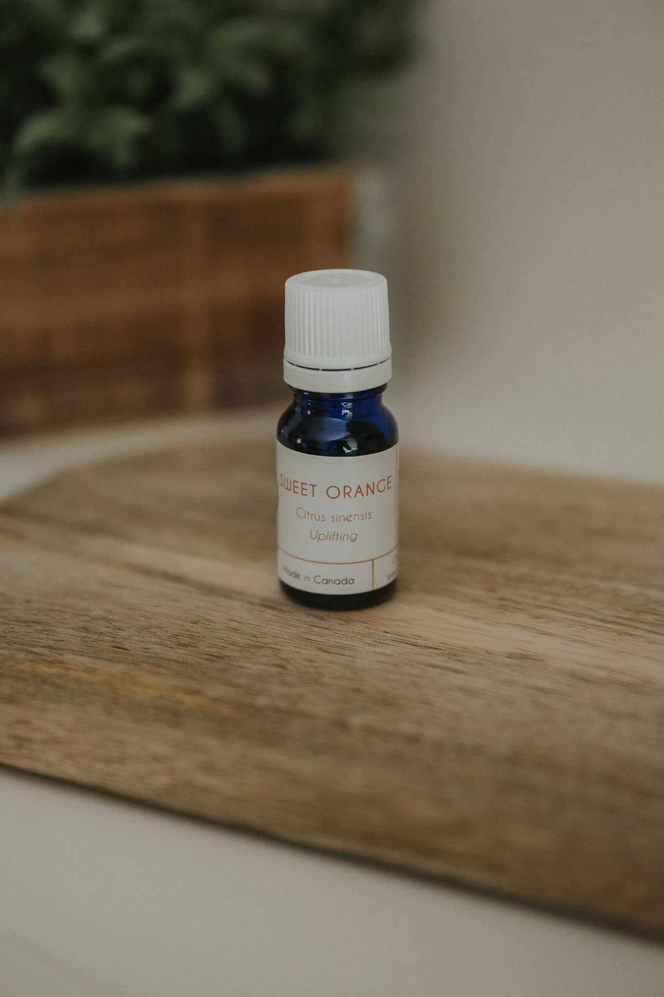 Sweet Orange Essential Oil Recipes