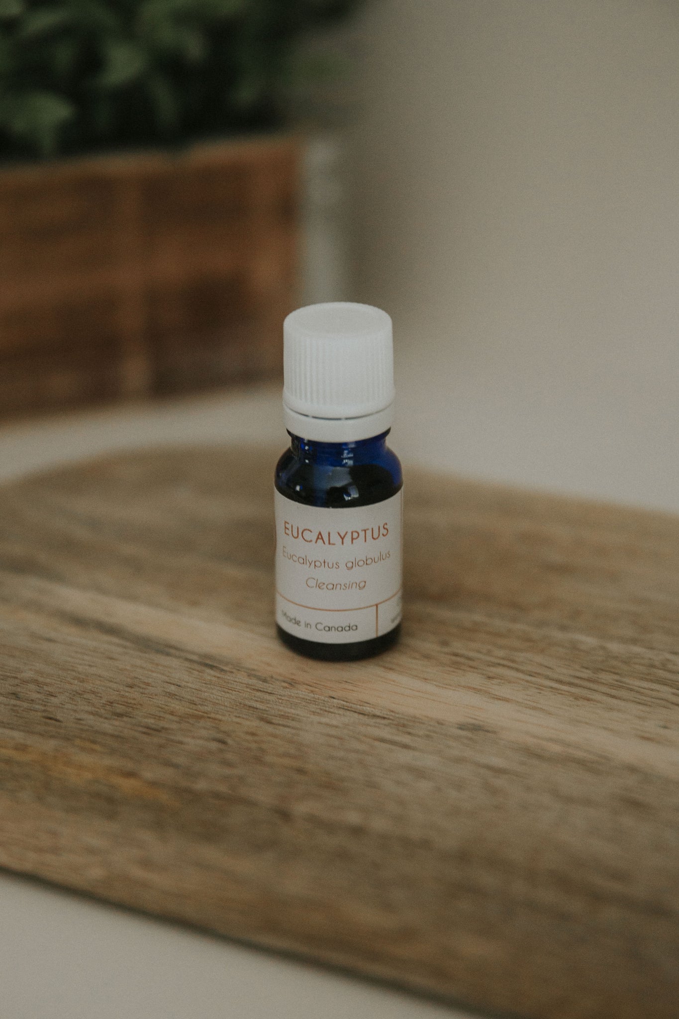 Eucalyptus Essential Oil Recipes