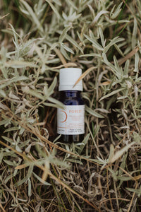 Forest Essential Oil Blend